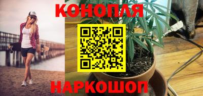 тгк Будённовск