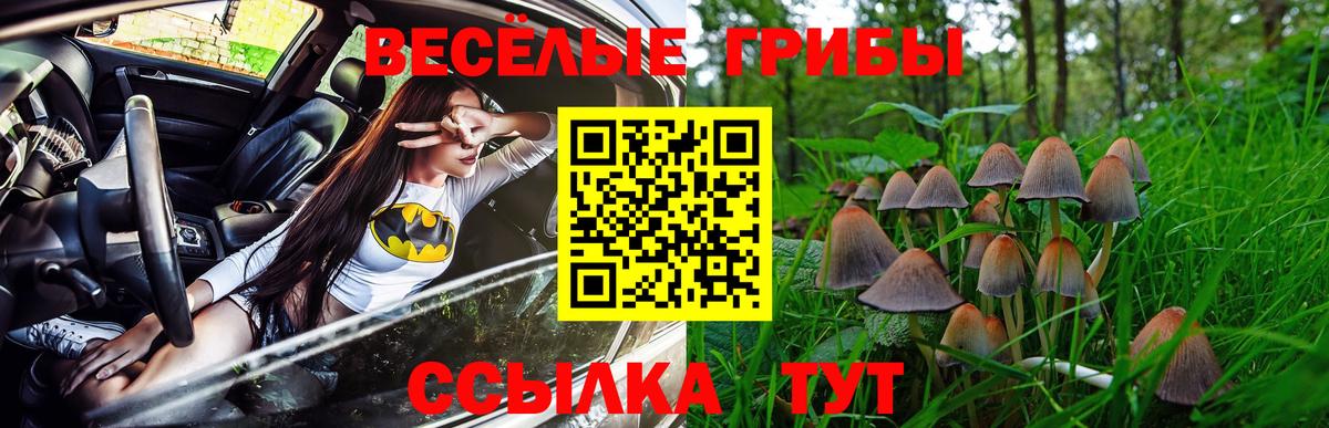 Псилоцибиновые грибы мицелий  Вход с VPN  Рассказово 